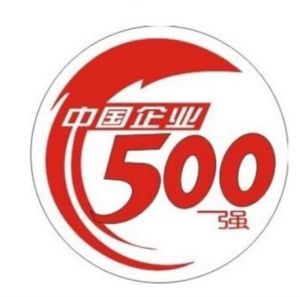 中國企業(yè)500強
