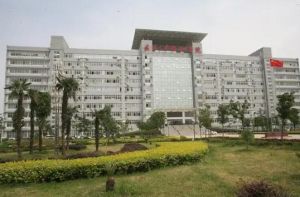 湖北省立文科大學