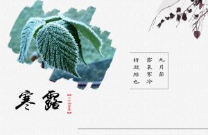 寒露節(jié)氣