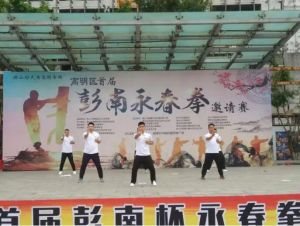 彭南詠春拳