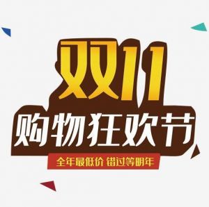 雙十一網(wǎng)購狂歡節(jié)