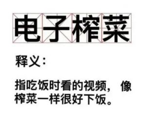 電子榨菜