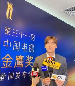 第31屆中國電視金鷹獎