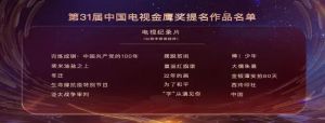 第31屆中國電視金鷹獎