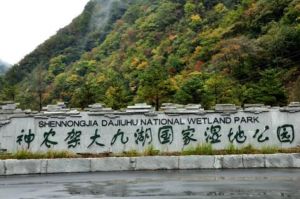 神農(nóng)架大九湖國家濕地公園
