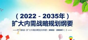 擴大內(nèi)需戰(zhàn)略規(guī)劃綱要