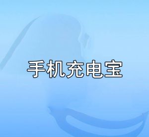 手機(jī)充電寶 手機(jī)充電寶