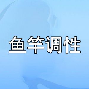 魚竿調(diào)性