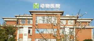 寵物醫(yī)院