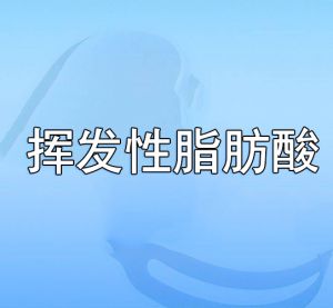 揮發(fā)性脂肪酸