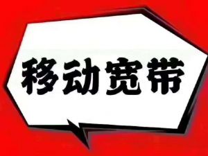 移動(dòng)寬帶