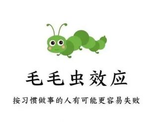 毛毛蟲效應