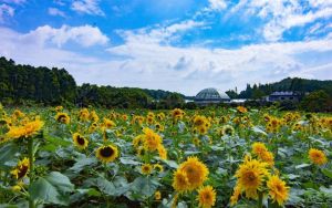 湖南省植物園