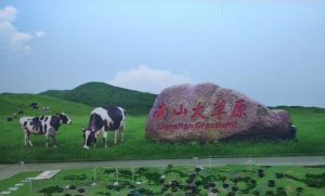 南山牧場
