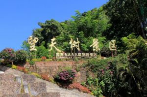 望天樹風(fēng)景區(qū)
