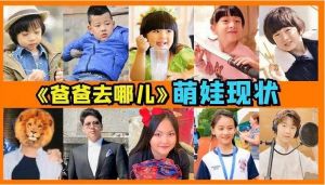 《爸爸去哪兒》萌娃現(xiàn)狀