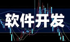 軟件開(kāi)發(fā)