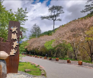 臺灣武陵風(fēng)景區(qū)
