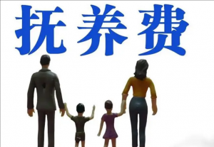 社會撫養(yǎng)費(fèi)
